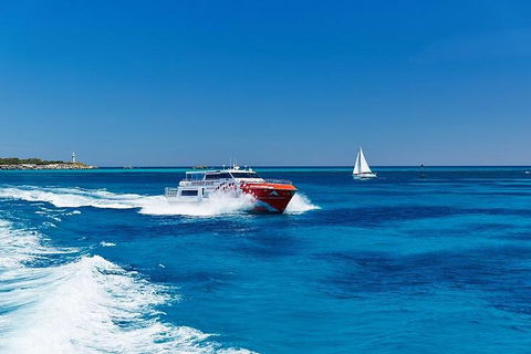 Rottnest Island Round-Trip Ferry From Perth Or Fremantle - Accommodation Tasmania 4
