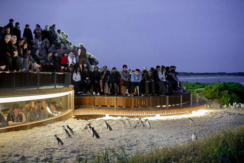 2-Day Great Ocean Road, Mornington Peninsula And Phillip Island Tour - Accommodation Tasmania 0