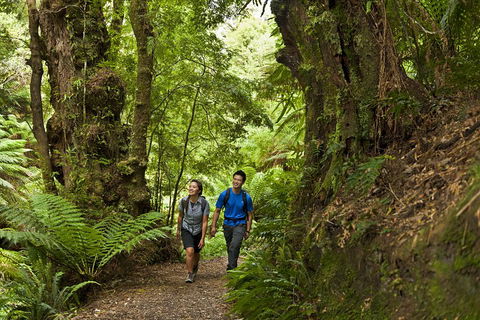 2-Day Great Ocean Road, Mornington Peninsula And Phillip Island Tour - Accommodation Tasmania 5
