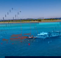 Ocean Free Green Island  Great Barrier Reef Snorkel Cruise Cairns 25 guests - Accommodation Tasmania