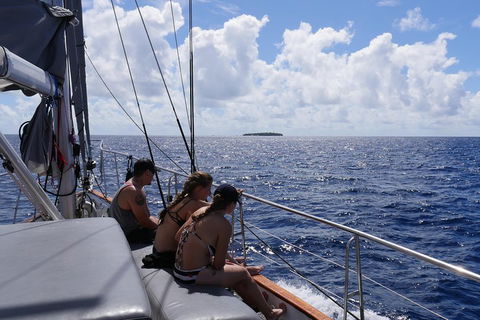 Ocean Free Green Island & Great Barrier Reef Snorkel Cruise, Cairns 25 Guests - Accommodation Tasmania 4