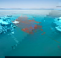 Ocean Freedom Great Barrier Reef Personal Luxury Snorkel  Dive Cruise Cairns - Accommodation Tasmania