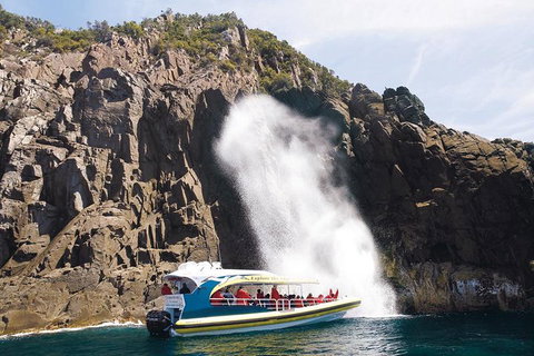 Full-Day Bruny Island Cruises Day Tour From Hobart - Accommodation Tasmania 4