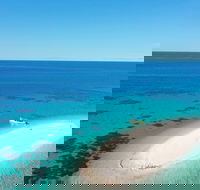 Ocean Safari Great Barrier Reef Experience in Cape Tribulation - Accommodation Tasmania