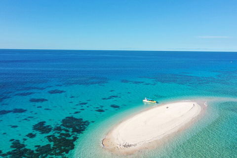 Ocean Safari Great Barrier Reef Experience In Cape Tribulation - Accommodation Tasmania 0