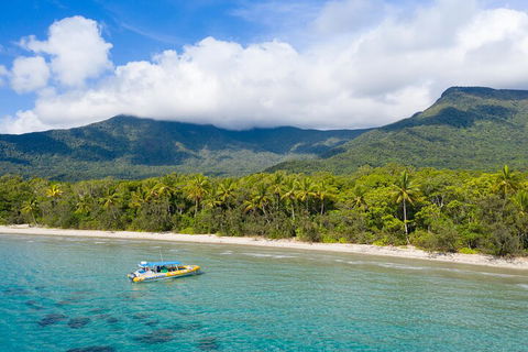 Ocean Safari Great Barrier Reef Experience In Cape Tribulation - Accommodation Tasmania 2