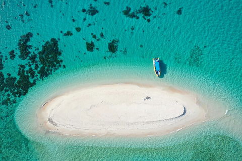 Ocean Safari Great Barrier Reef Experience In Cape Tribulation - Accommodation Tasmania 3