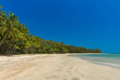 Ocean Safari Great Barrier Reef Experience In Cape Tribulation - Accommodation Tasmania 4