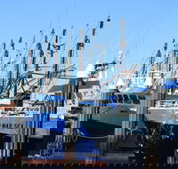 One Day Port Lincoln Tour - Tasting Eyre - Accommodation Tasmania