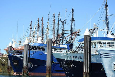 One Day Port Lincoln Tour - Tasting Eyre - Accommodation Tasmania 0
