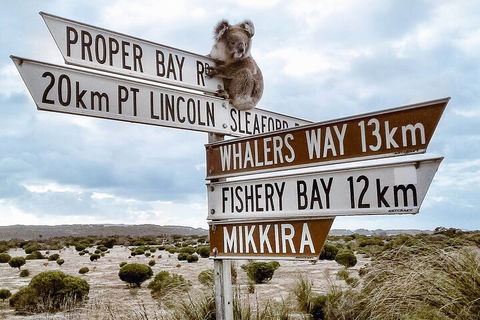 One Day Port Lincoln Tour - Tasting Eyre - Accommodation Tasmania 2