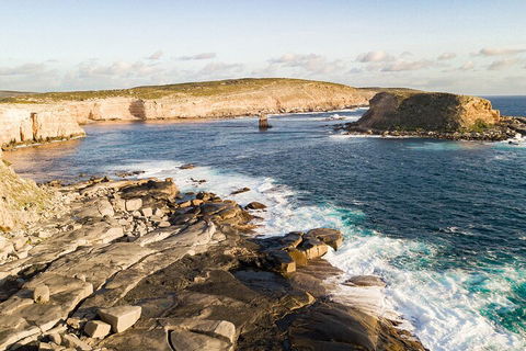 One Day Port Lincoln Tour - Tasting Eyre - Accommodation Tasmania 3