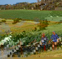 10 Day Perth to Adelaide Private Tour - The Great Australian Wilderness Journey - Accommodation Tasmania