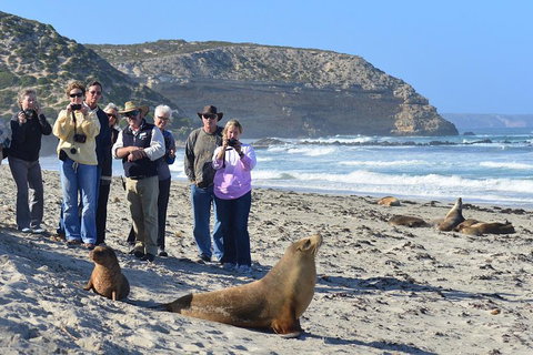 2-Day Kangaroo Island 4WD Small-Group Tour From Adelaide - Accommodation Tasmania 3