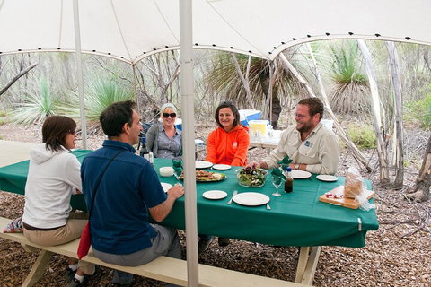 Full Day Seal Bay Experience Departing From Kangaroo Island - Accommodation Tasmania 1