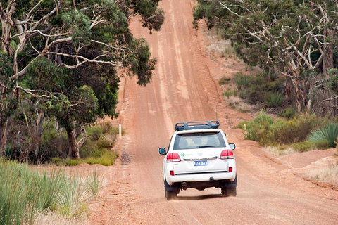 Full Day Seal Bay Experience Departing From Kangaroo Island - Accommodation Tasmania 2
