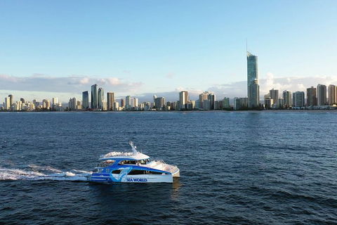 Whale Watching By Sea World Cruises - Accommodation Tasmania 1