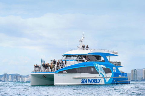 Whale Watching By Sea World Cruises - Accommodation Tasmania 3
