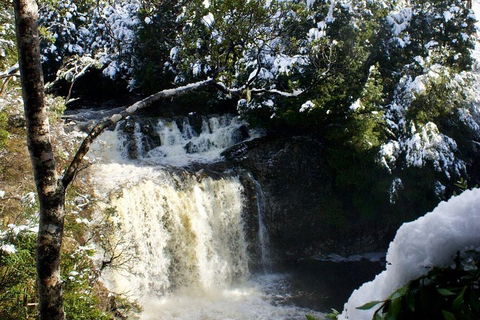 Cradle Mountain Park Explorer Guided Tour - Accommodation Tasmania 4