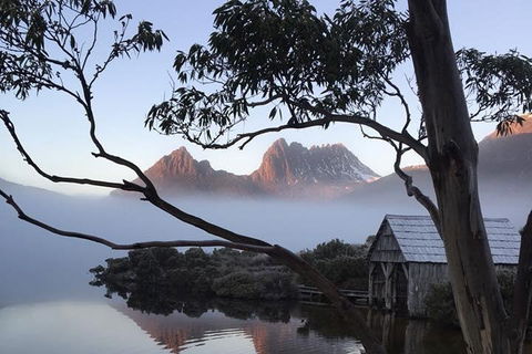 Cradle Mountain Park Explorer Guided Tour - Accommodation Tasmania 5