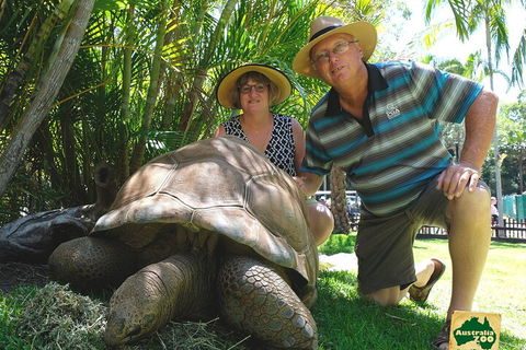 Small-Group Australia Zoo Day Trip From Brisbane - Accommodation Tasmania 1