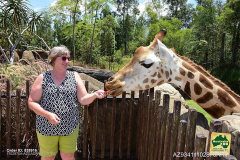 Small-Group Australia Zoo Day Trip From Brisbane - Accommodation Tasmania 2
