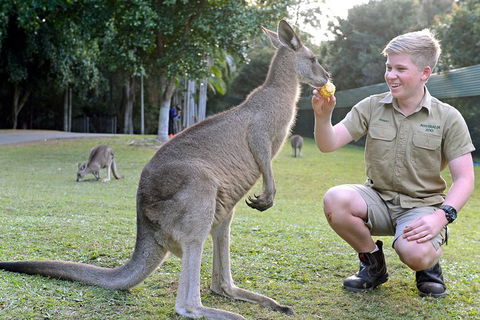 Small-Group Australia Zoo Day Trip From Brisbane - Accommodation Tasmania 4