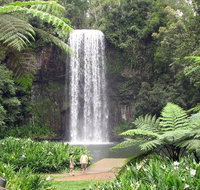 Private Daintree and Cape Tribulation Tour from Port Douglas - Accommodation Tasmania
