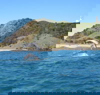 Kayaking with Dolphins in Byron Bay Guided Tour - Accommodation Tasmania