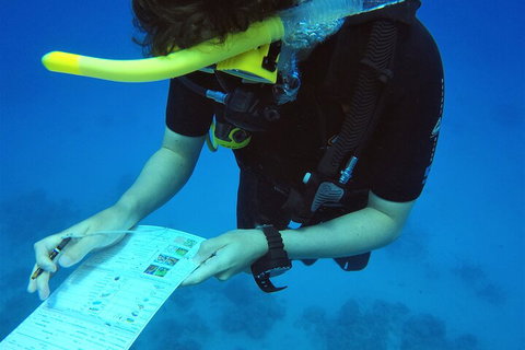 12-Day Great Barrier Reef Marine Conservation Program From Cairns - Accommodation Tasmania 2