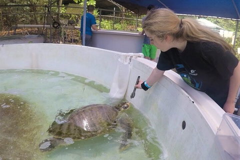 12-Day Great Barrier Reef Marine Conservation Program From Cairns - Accommodation Tasmania 4