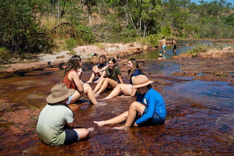Litchfield National Park Waterfalls And Wildlife Tour From Darwin - Accommodation Tasmania 1