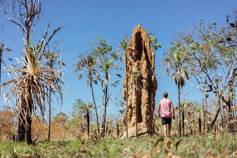 Litchfield National Park Waterfalls And Wildlife Tour From Darwin - Accommodation Tasmania 4