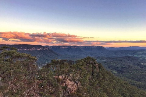 Blue Mountains Sunset Tour | Kangaroos & Koala Encounter (Private Tour) - Accommodation Tasmania 0