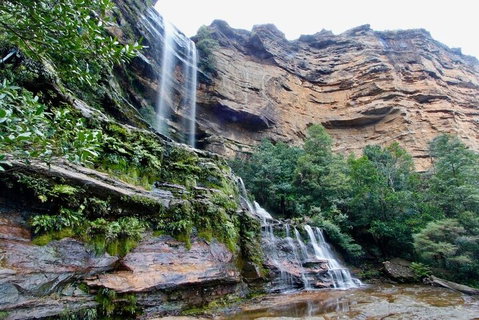 Blue Mountains Sunset Tour | Kangaroos & Koala Encounter (Private Tour) - Accommodation Tasmania 2