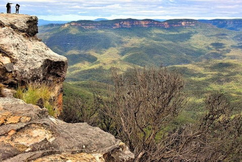 Blue Mountains Sunset Tour | Kangaroos & Koala Encounter (Private Tour) - Accommodation Tasmania 4