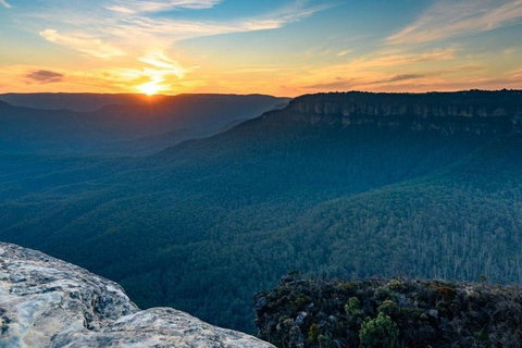 Blue Mountains Sunset Tour | Kangaroos & Koala Encounter (Private Tour) - Accommodation Tasmania 5