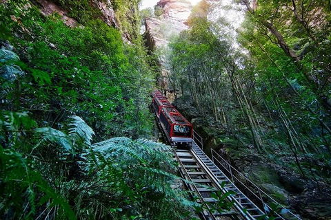 Blue Mountains Private Tour With Kangaroos & Koala Encounter - Accommodation Tasmania 1