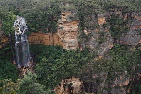 Blue Mountains Private Tour With Kangaroos & Koala Encounter - Accommodation Tasmania 2