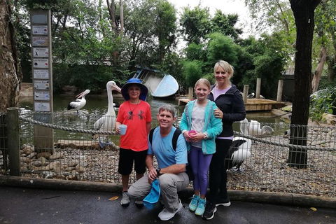Blue Mountains Private Tour With Kangaroos & Koala Encounter - Accommodation Tasmania 4