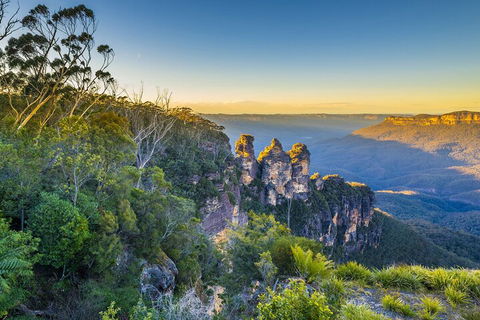 Blue Mountains Private Tour With Kangaroos & Koala Encounter - Accommodation Tasmania 5