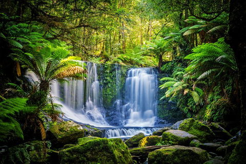 Day Tour In Mt. Field, Mt. Wellington, Bonorong Wildlife Sanctuary And Richmond - Accommodation Tasmania 0