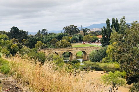 Day Tour In Mt. Field, Mt. Wellington, Bonorong Wildlife Sanctuary And Richmond - Accommodation Tasmania 3