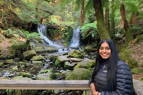 Day Tour In Mt. Field, Mt. Wellington, Bonorong Wildlife Sanctuary And Richmond - Accommodation Tasmania 5