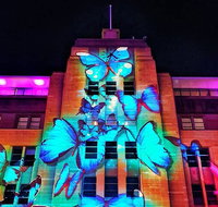 Vivid 90-Minute Sydney Harbour Small Group Catamaran Cruise - Accommodation Tasmania