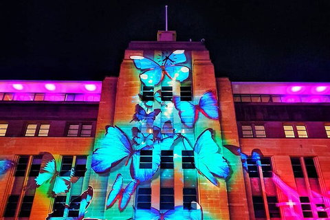 Vivid 90-Minute Sydney Harbour Small Group Catamaran Cruise - Accommodation Tasmania 0