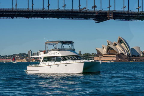 Vivid 90-Minute Sydney Harbour Small Group Catamaran Cruise - Accommodation Tasmania 2