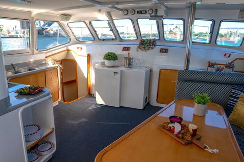 Vivid 90-Minute Sydney Harbour Small Group Catamaran Cruise - Accommodation Tasmania 5