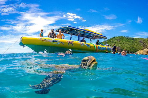 Great Barrier Reef Scenic Flight And Ocean Rafting Whitehaven Beach Day Trip - Accommodation Tasmania 1
