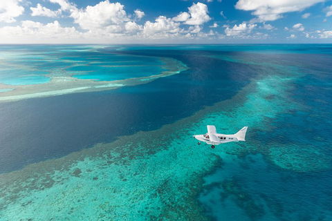 Scenic Flight - Great Barrier Reef, Heart Reef, Whitehaven Beach & Hill Inlet! - Accommodation Tasmania 3